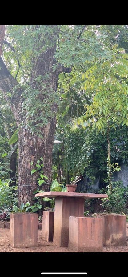 Pearl'S Homestay Матале Екстер'єр фото